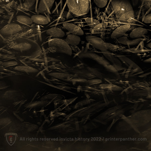 The Germanic Wars 1 / Invicta® Official Art