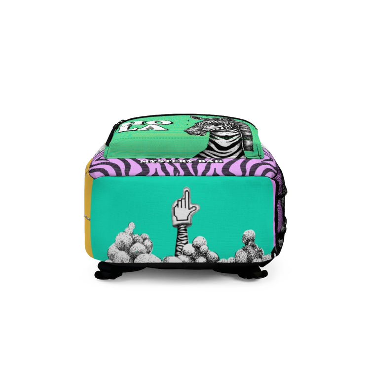 Mall Zebra Mystery Bag #2